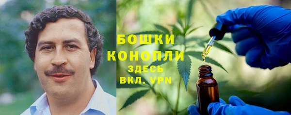 PSILOCYBIN Покачи