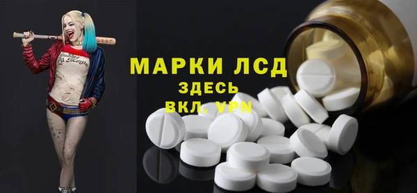 PSILOCYBIN Покачи