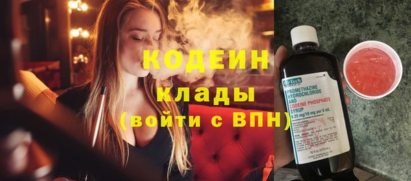 PSILOCYBIN Покачи