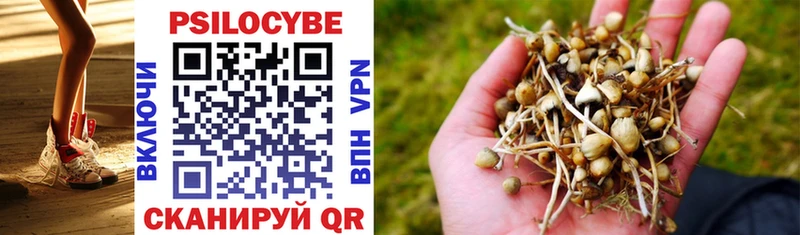 Псилоцибиновые грибы Psilocybine cubensis  Балахна 