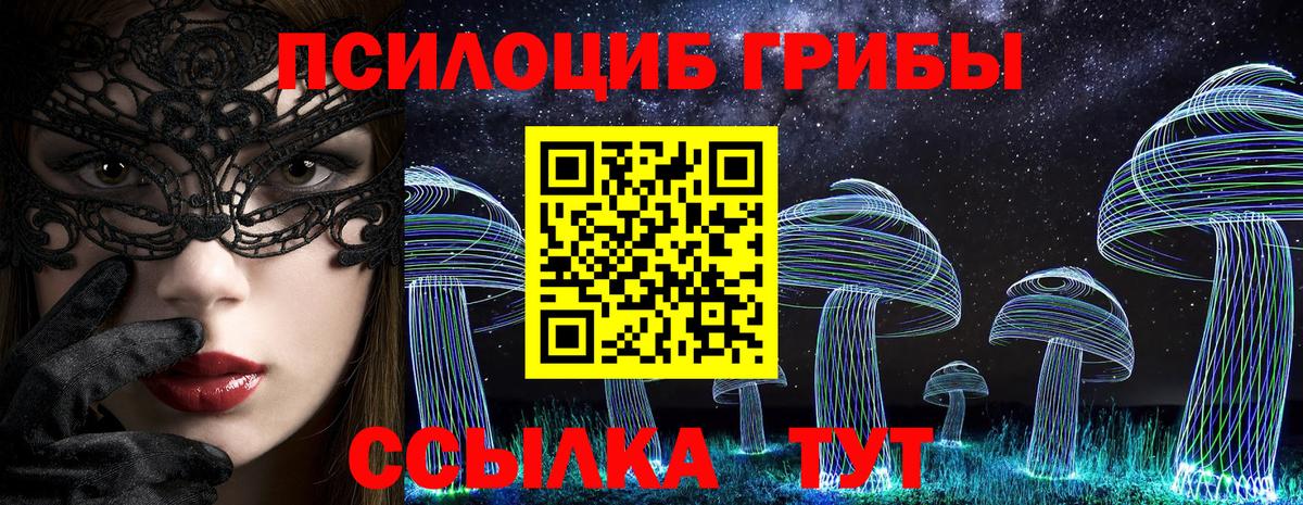 Псилоцибиновые грибы GOLDEN TEACHER Балахна